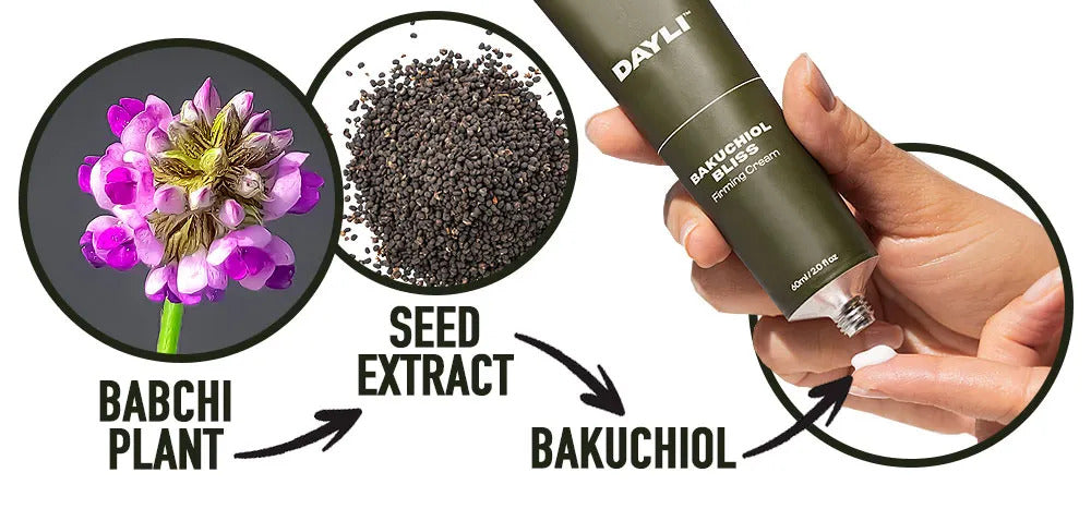 Image Title Alt Image